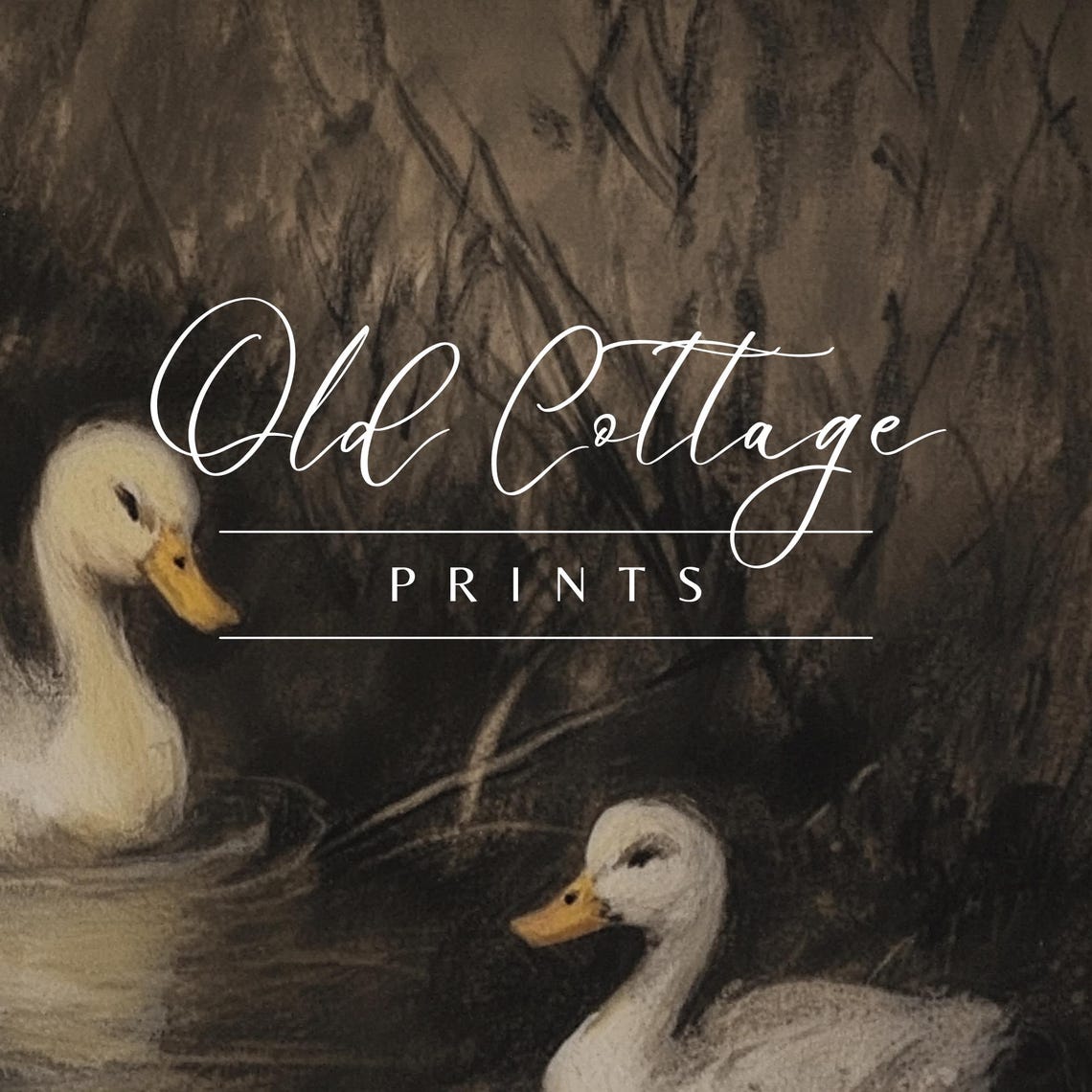 Two White Ducks Swimming In A Moody Dark Evening Pond Painting Poster - Image 2