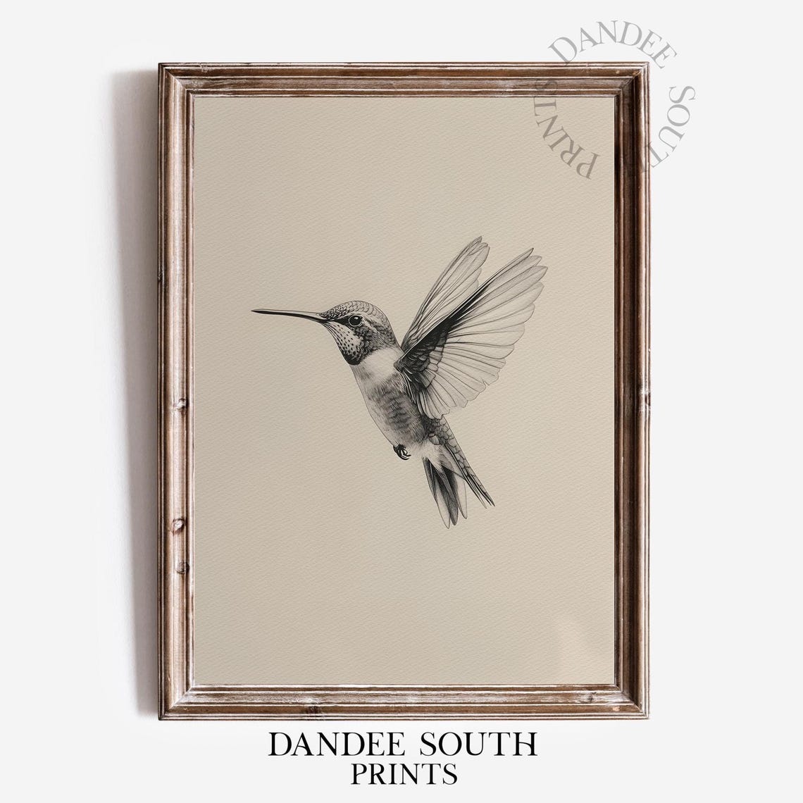 Vintage Hummingbird Sketch Neutral Farmhouse Bird Drawing Wall Art