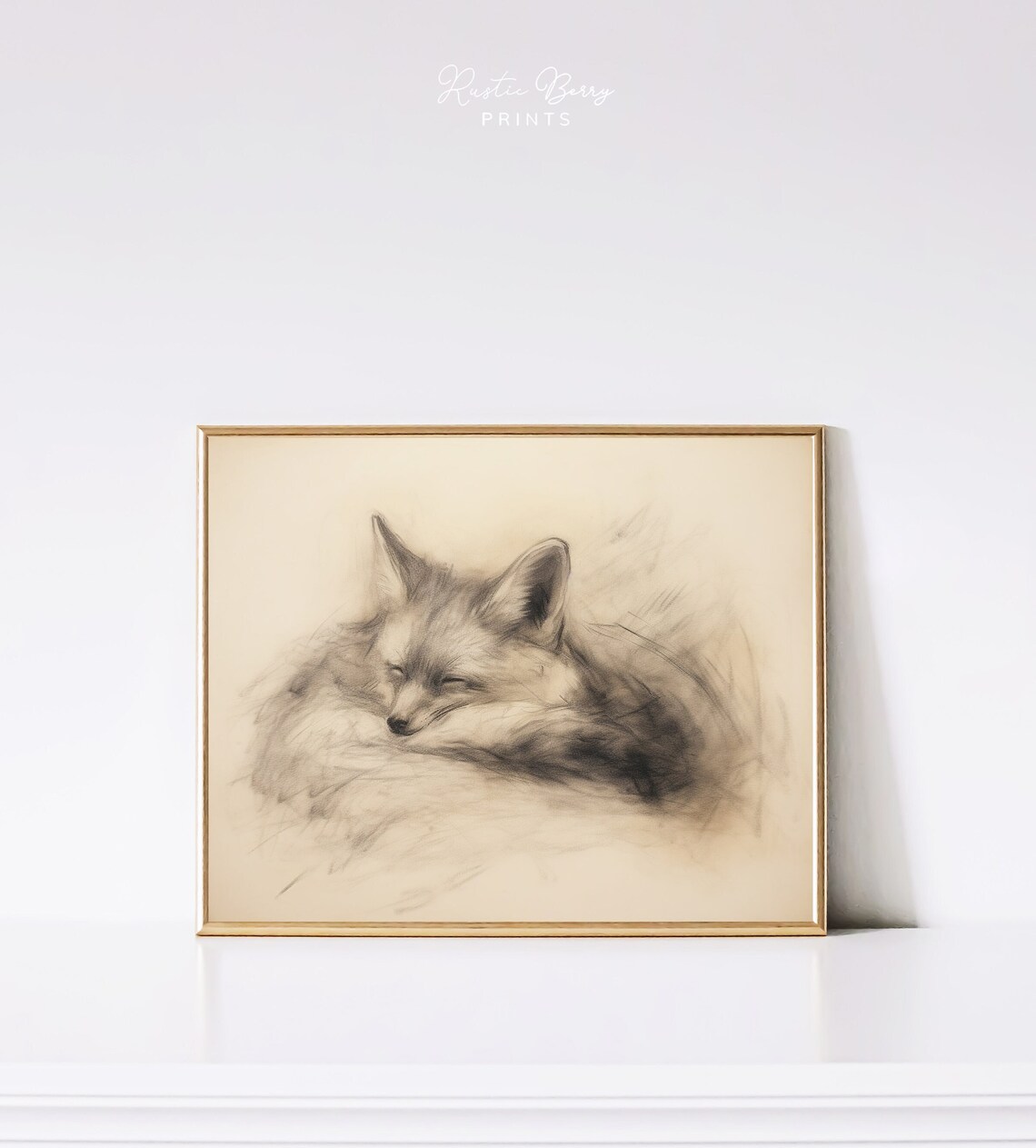 Sleeping Fox Charcoal Sketch Delicate Vintage Curled Up Fox Wildlife Drawing Poster