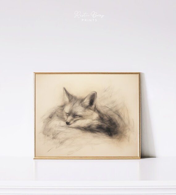 Sleeping Fox Charcoal Sketch Delicate Vintage Curled Up Fox Wildlife Drawing Poster