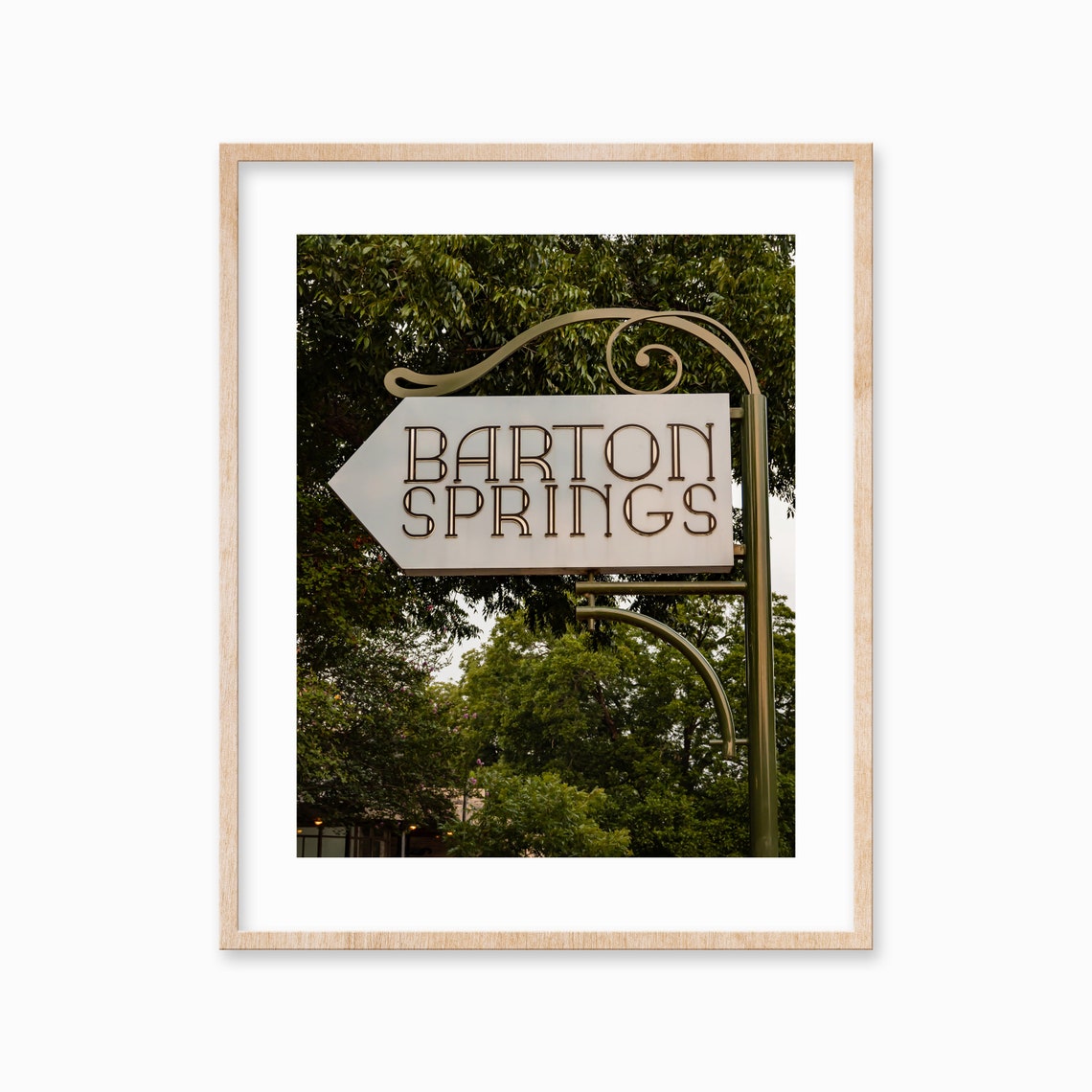 Barton Springs Sign Austin Texas Vintage Directional Photo Poster