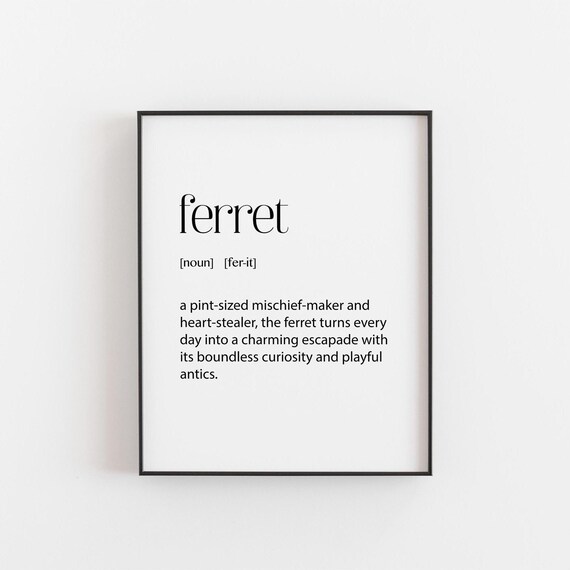 Ferret Dictionary Definition Funny Pet Lover Typography Poster