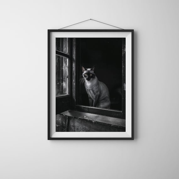 Black And White Siamese Cat At Window Moody Vintage Cat Poster