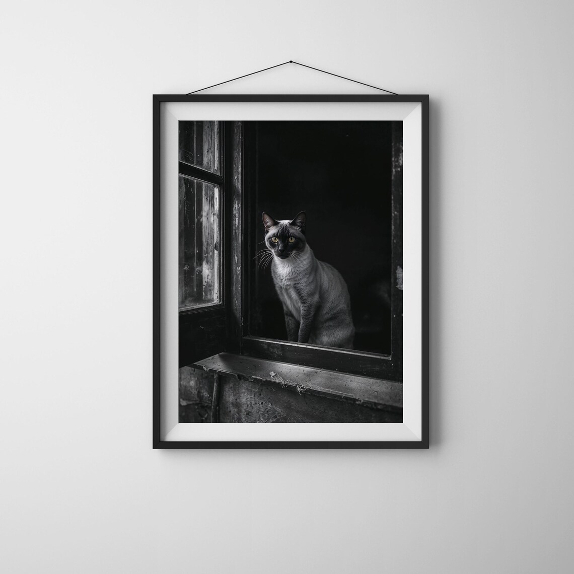 Black And White Siamese Cat At Window Moody Vintage Cat Poster