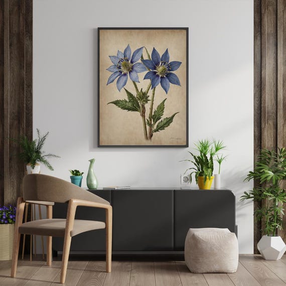 Borage Flower Wall Art Watercolor Blue Star Botanical Print Herbal Decor Instant Png