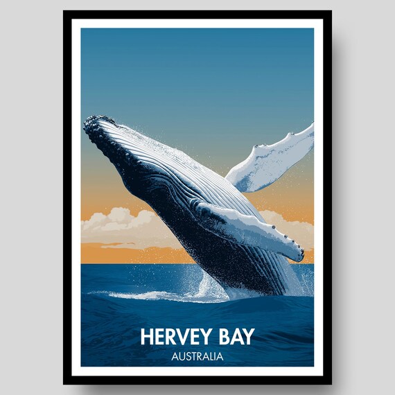 Hervey Bay Australia Humpback Whale Breach Sunset Travel Poster
