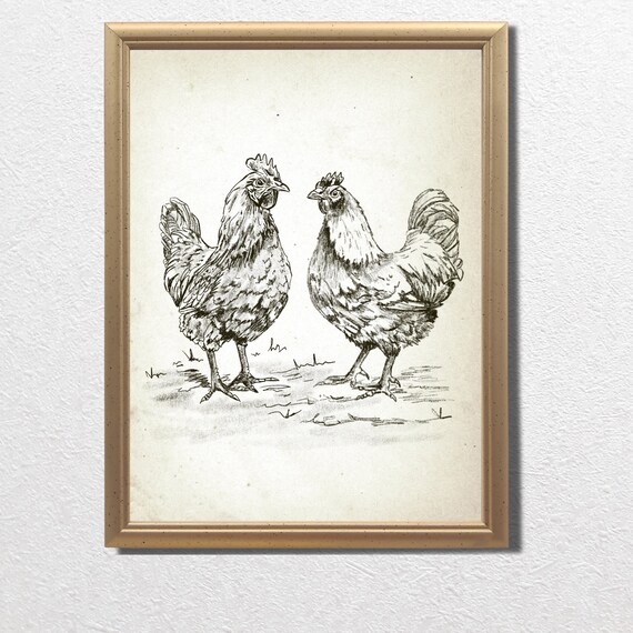 Two Chickens Hen Rooster Vintage Pencil Sketch Farmhouse Wall Art
