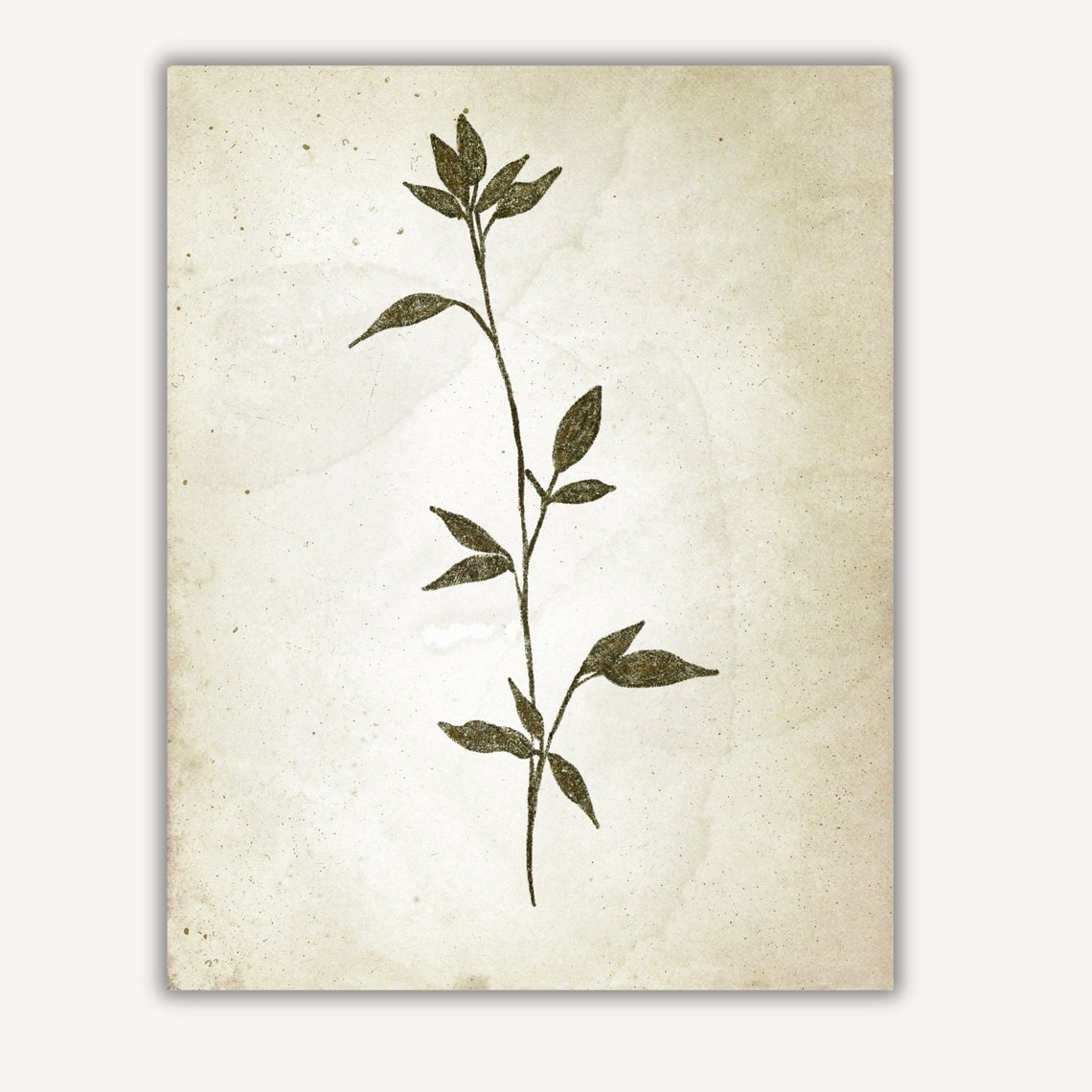 Vintage Botanical Leaf Stem Sketch Neutral Minimalist Nursery Poster - Image 4