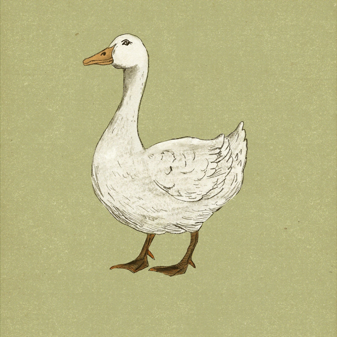 White Goose Vintage Country Farm Animal Rustic Nursery Art Poster - Image 3