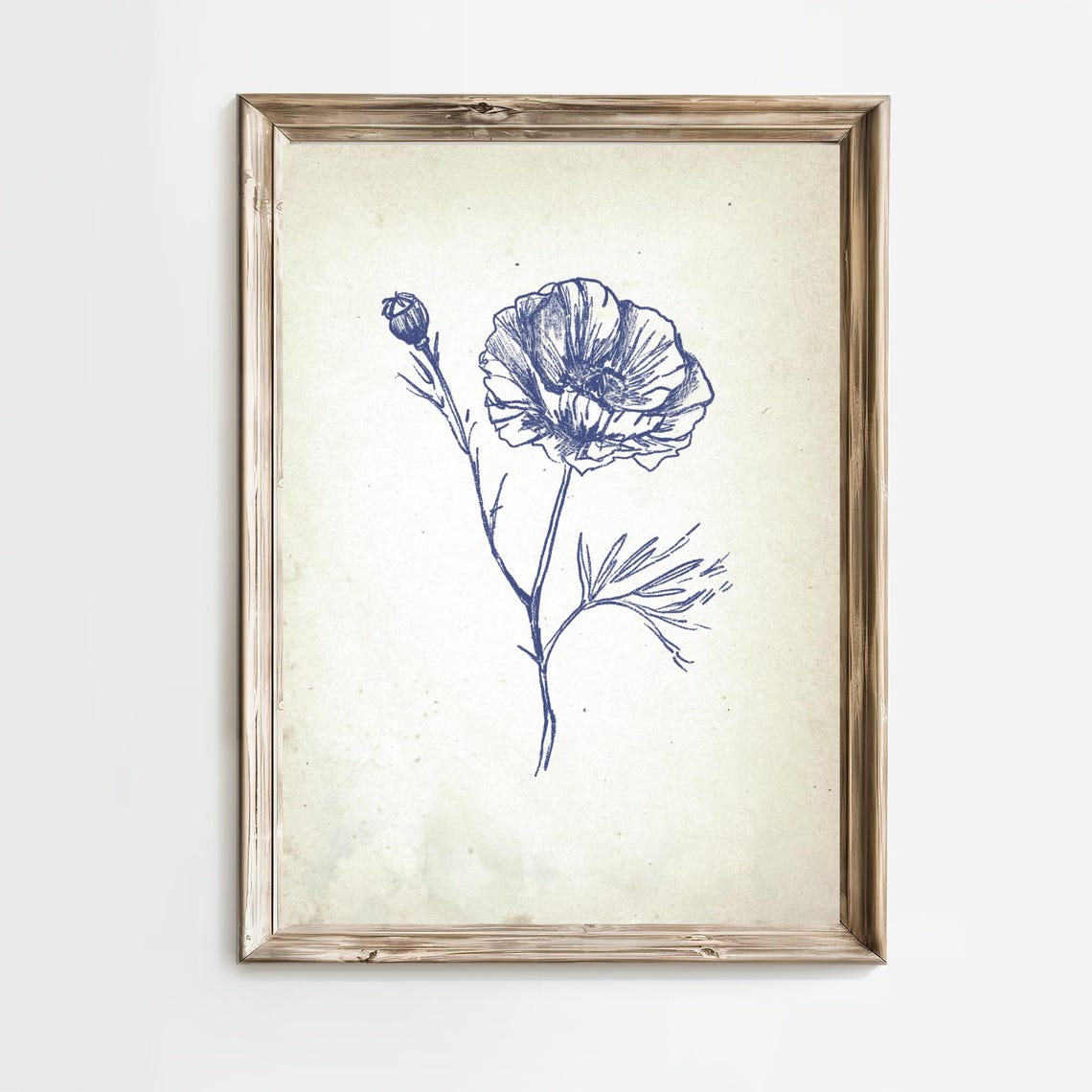 Blue Poppy Blossom in Vintage Botanical Ink Sketch Art Poster - Image 2