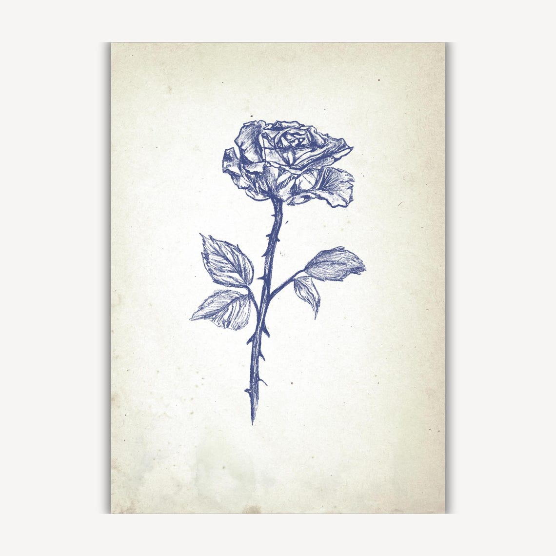 Single Blue Rose Stem in Vintage Botanical Ink Sketch Poster - Image 2