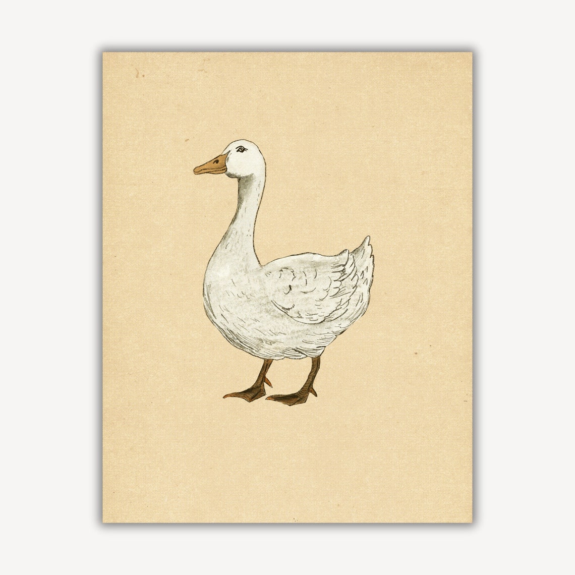White Goose Nursery Sketch Warm Beige Background Cottage Print - Image 4