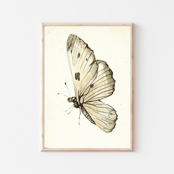 Vintage Butterfly Nursery Sketch Art Print, Baby Room Decor