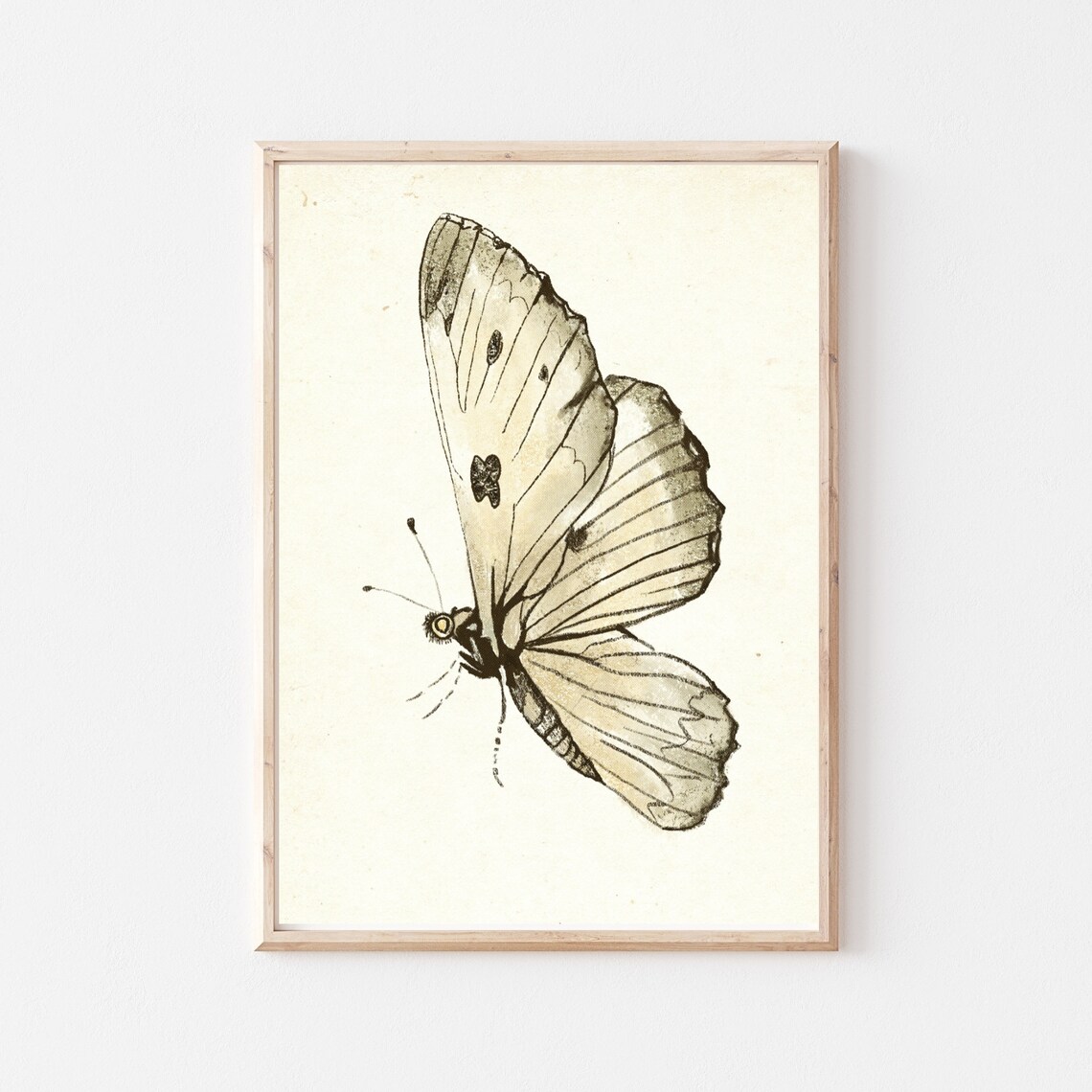 Vintage Butterfly Nursery Sketch Art Print, Baby Room Decor