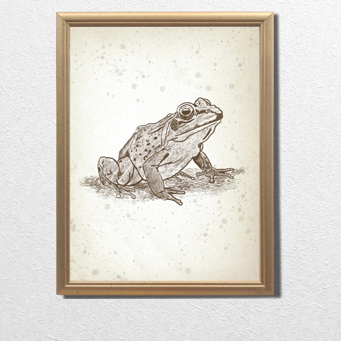 Spotted Frog Sitting Sketch Vintage Woodland Nursery Art Poster