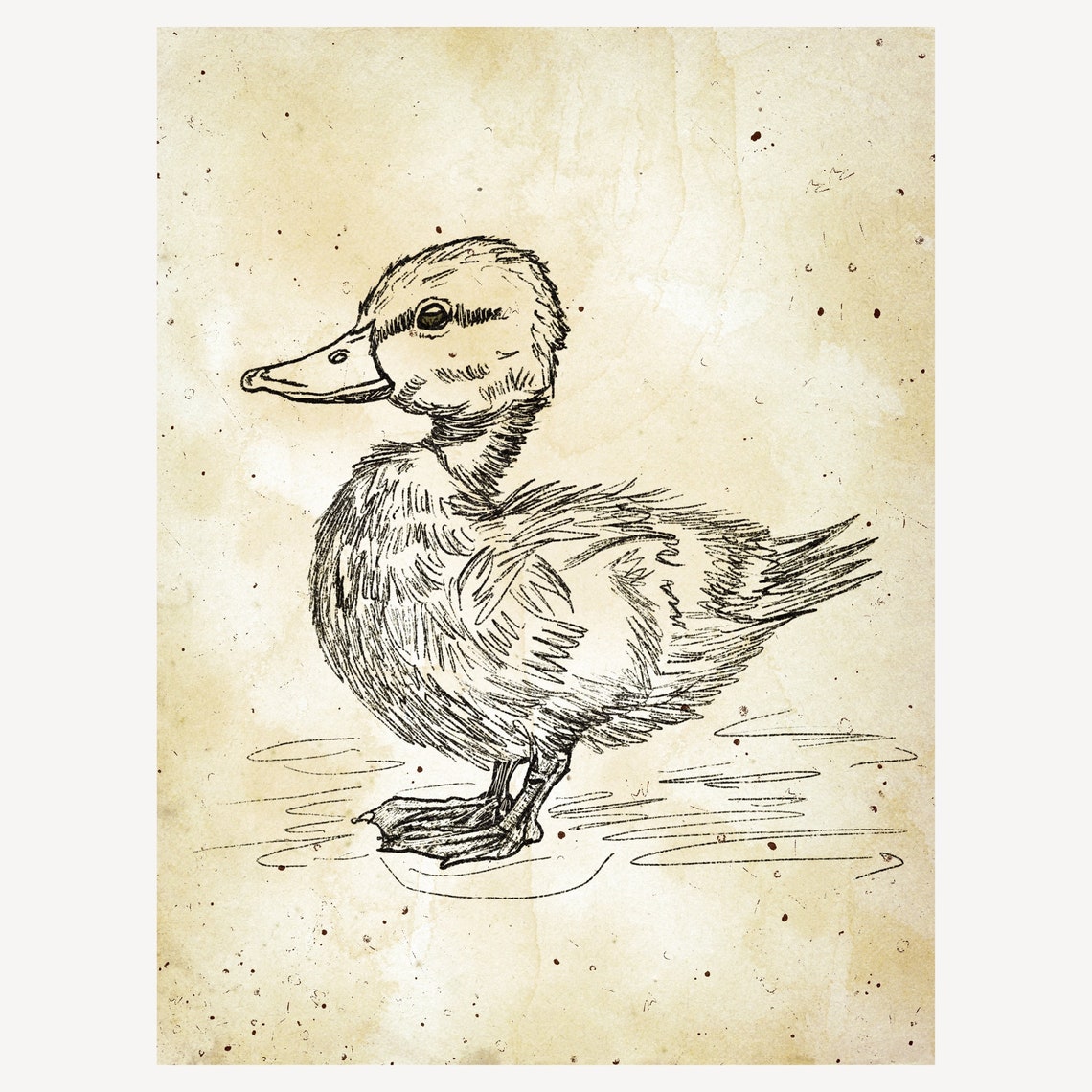 Vintage Duck Portrait Sketch Rustic Farmhouse Nursery Decor Poster - Image 4