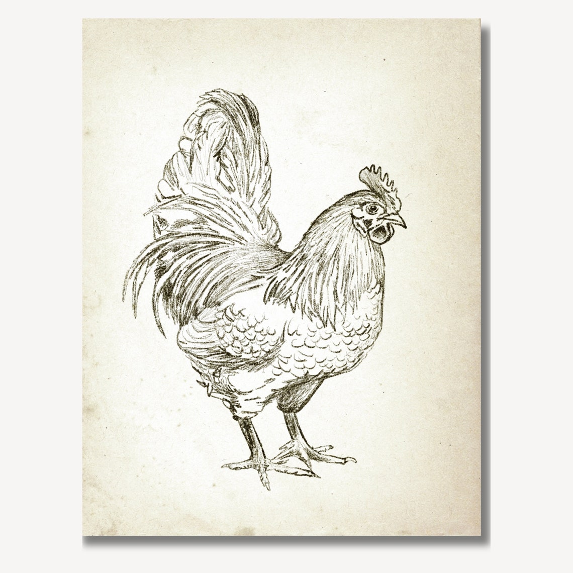 Vintage Rooster Chicken Print Vintage Nursery Wall Decor Farmhouse Wall Art Sketch Country Farm Painting Bird Illustration Painting - Image 3