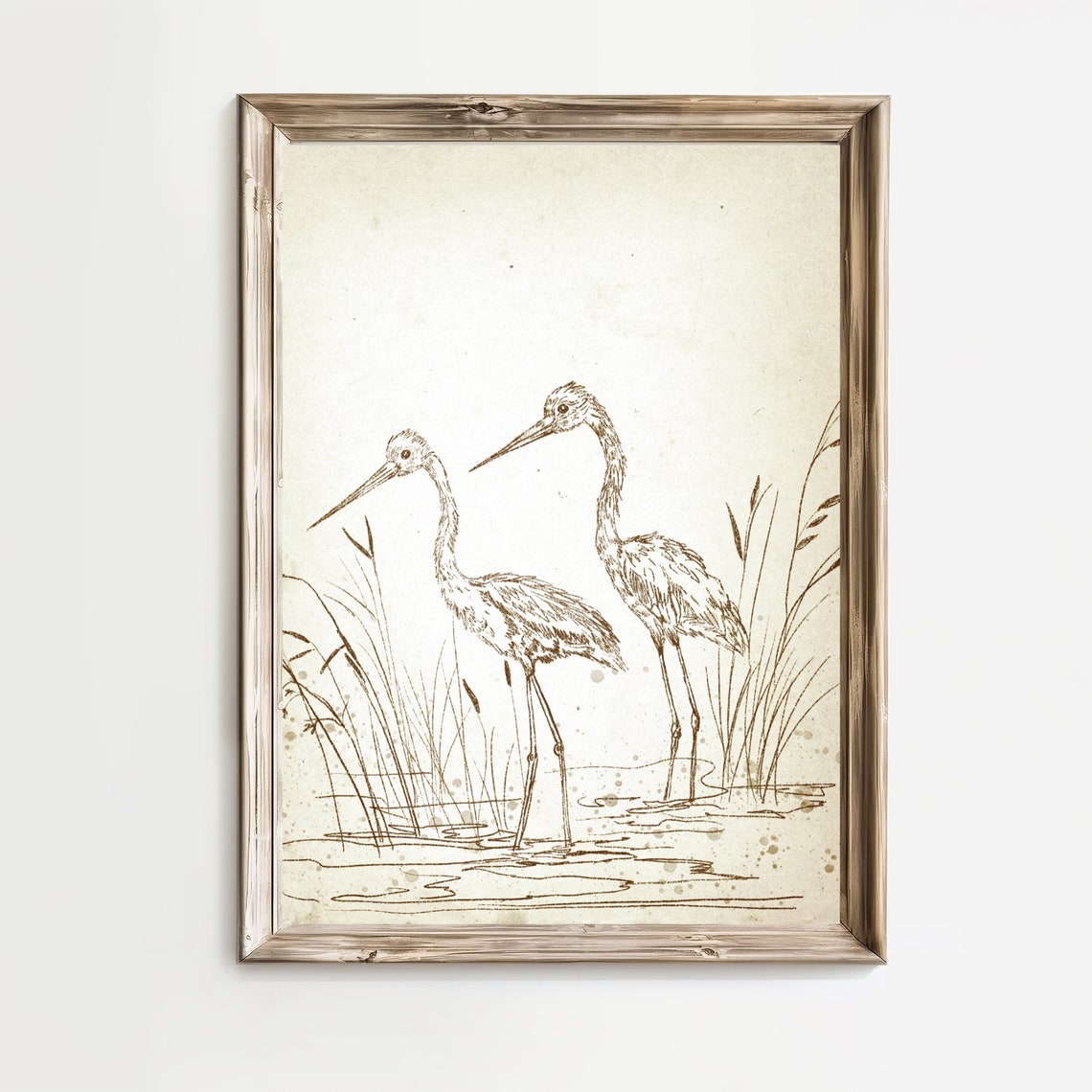 Two Herons Tall Marsh Grass Vintage Ink Sketch Bird Art Print