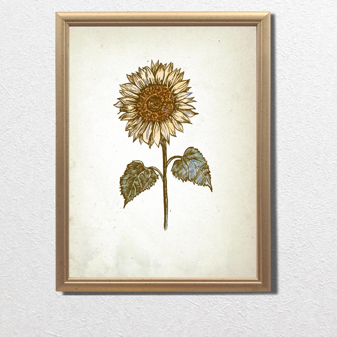 Sunflower Vintage Engraving Style Botanical Sketch Wall Art Piece