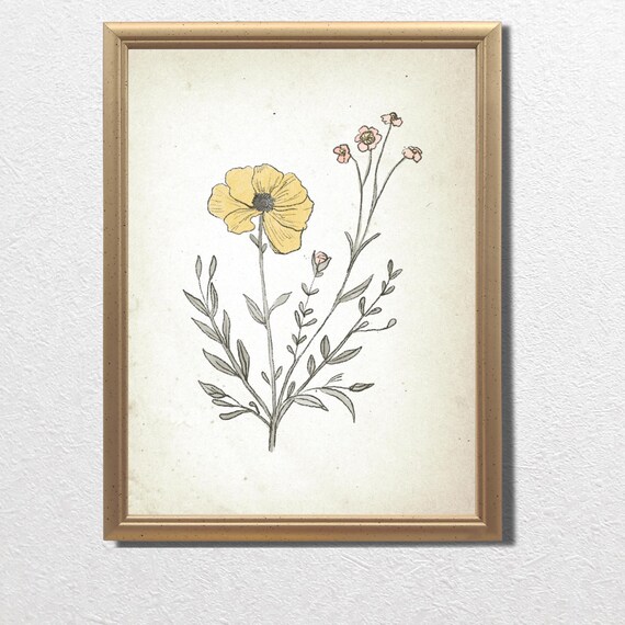 Yellow Poppy and Pink Blossoms in Vintage Botanical Art Print