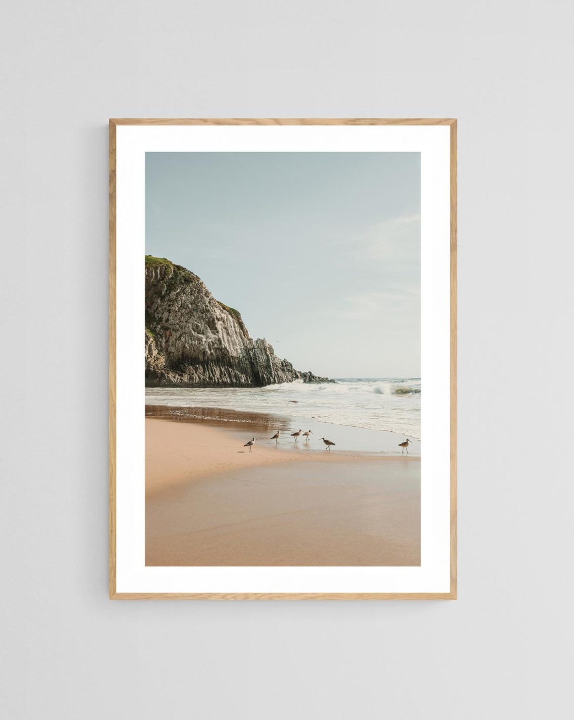 Laguna Beach Bird Photograph, Coastal Art