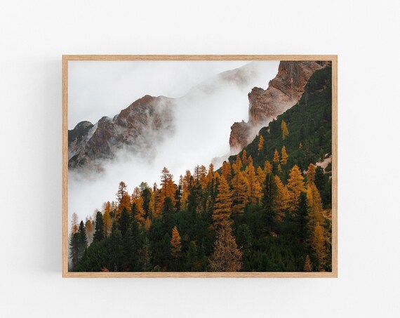 Autumn Mountain Forest Mist Golden Larches Scenic Landscape Poster