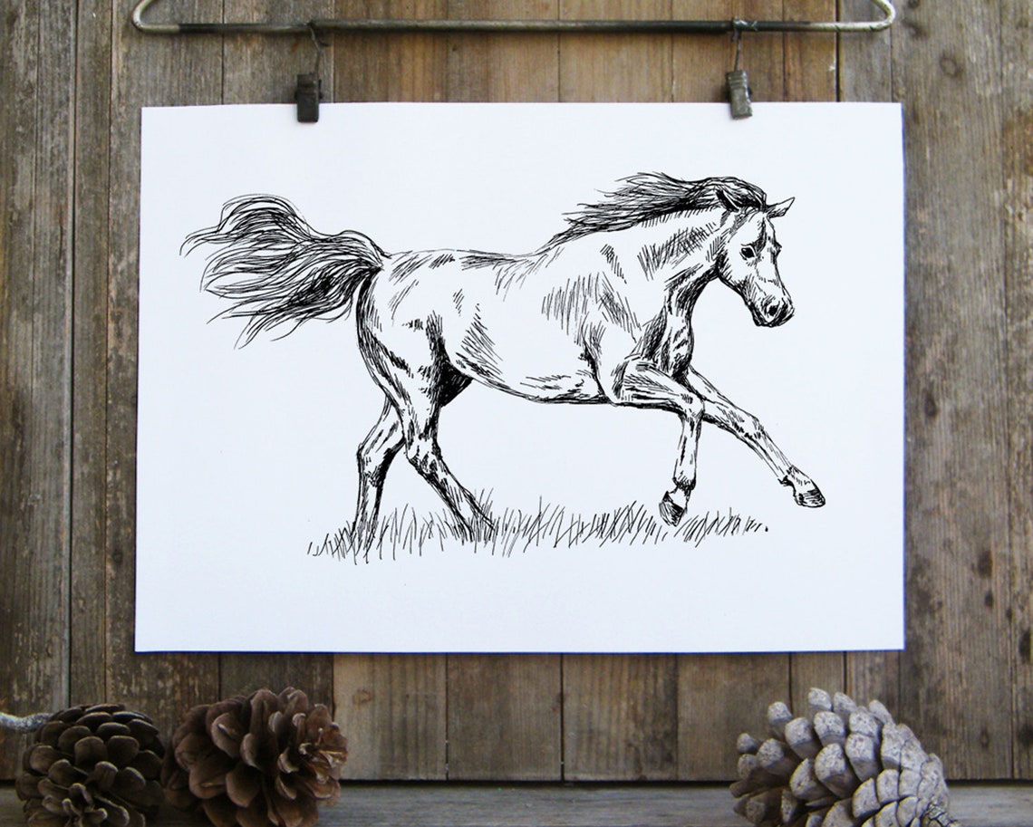 Galloping Horse Ink Sketch Black White Equestrian Line Art Print - Image 3