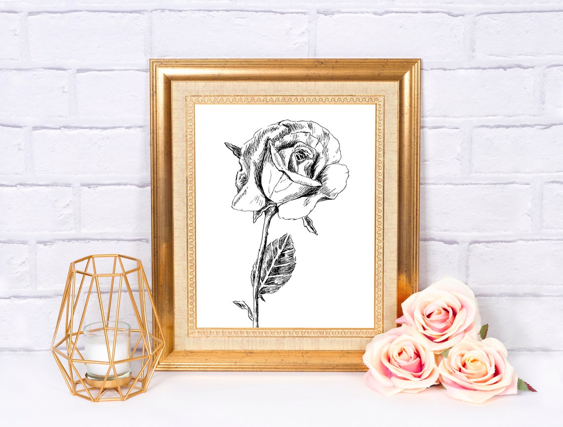 Black And White Rose Line Drawing Botanical Minimalist Sketch Poster