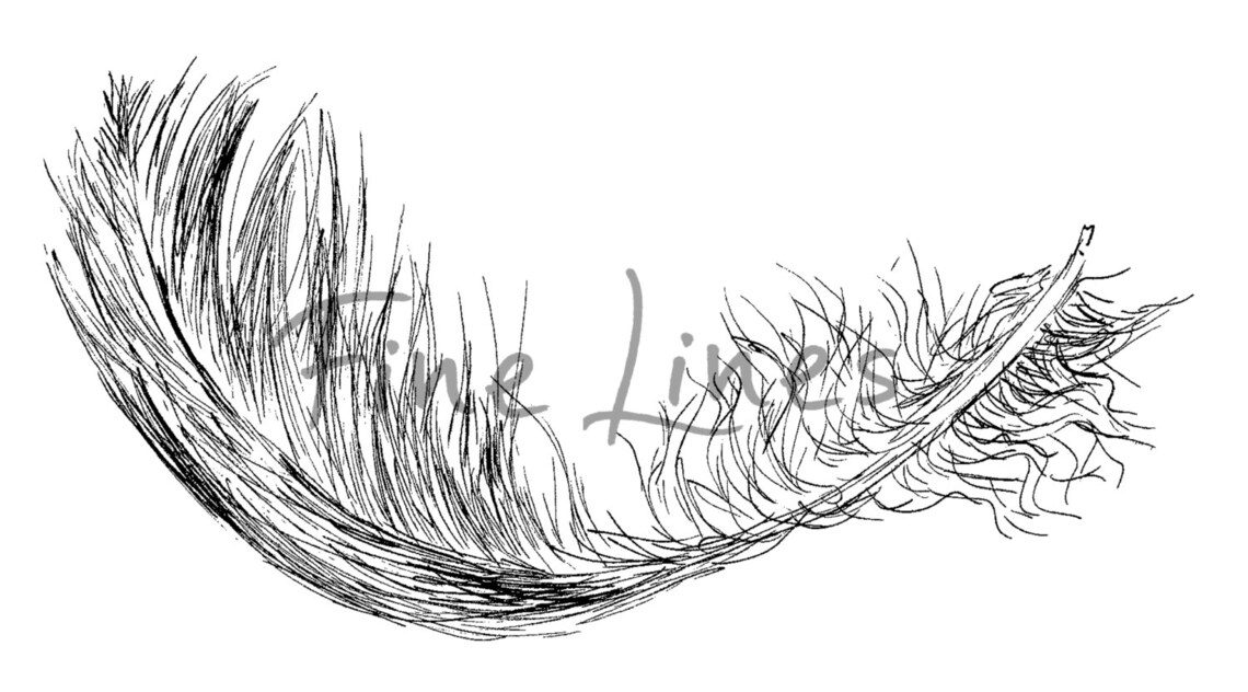 Delicate Feather Ink Sketch Poster Minimalist Black and White Nature Decor - Image 2