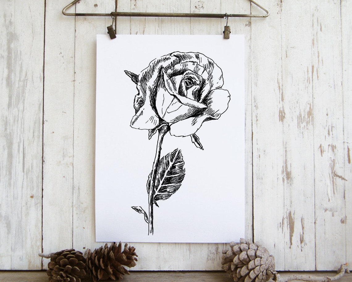 Black And White Rose Line Drawing Botanical Minimalist Sketch Poster - Image 2