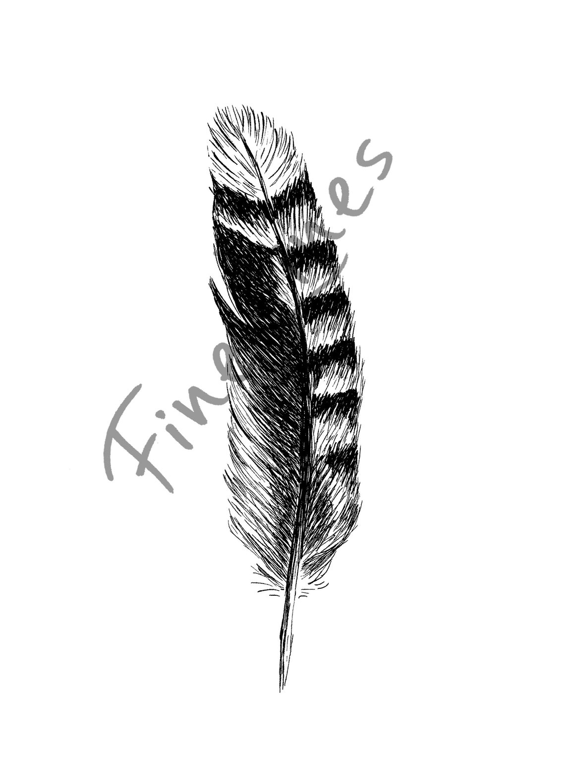 Striped Bird Feather Black and White Minimalist Sketch Wall Art - Image 3