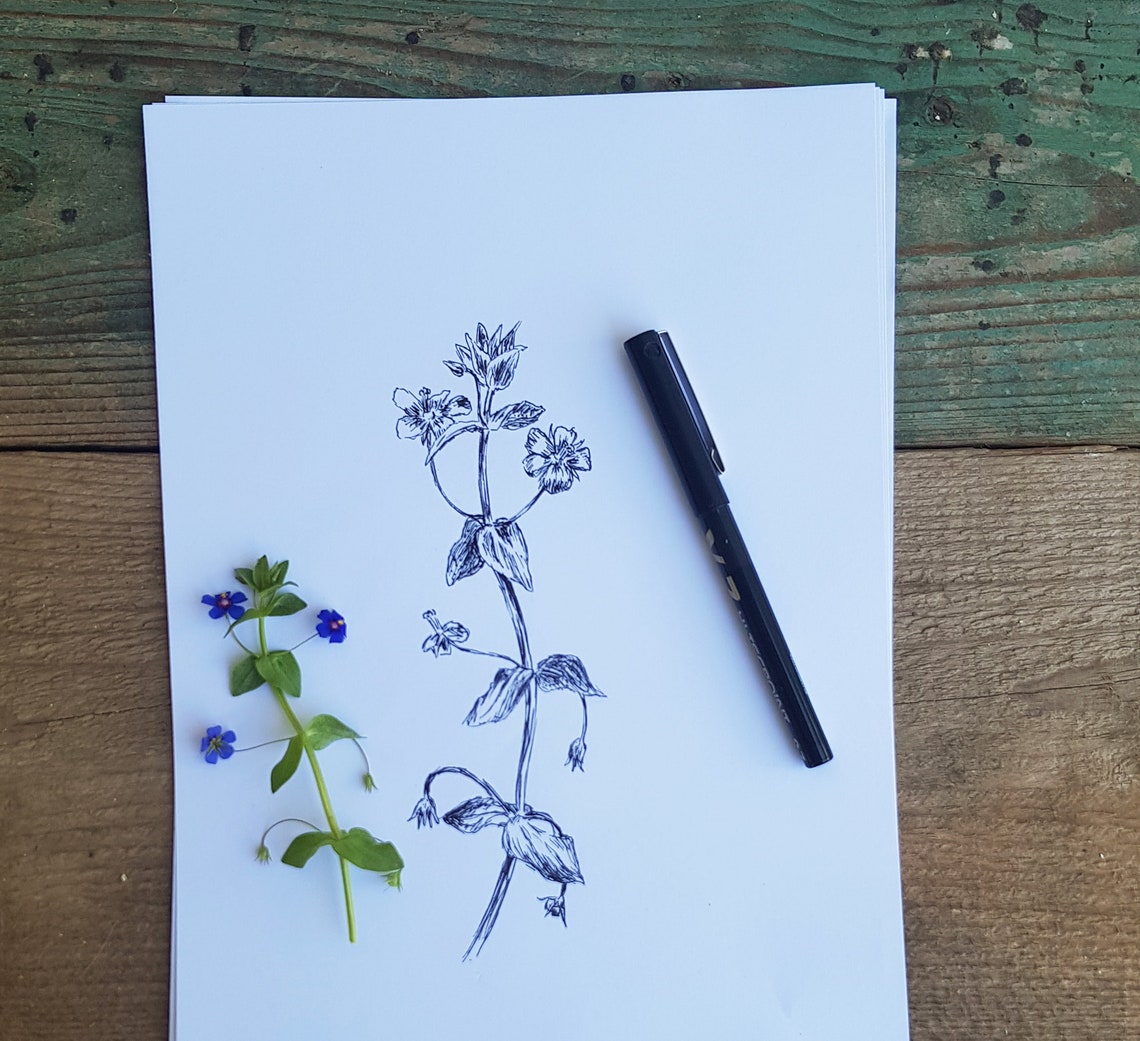 Wildflower Botanical Ink Sketch Delicate Floral Line Art Poster - Image 2