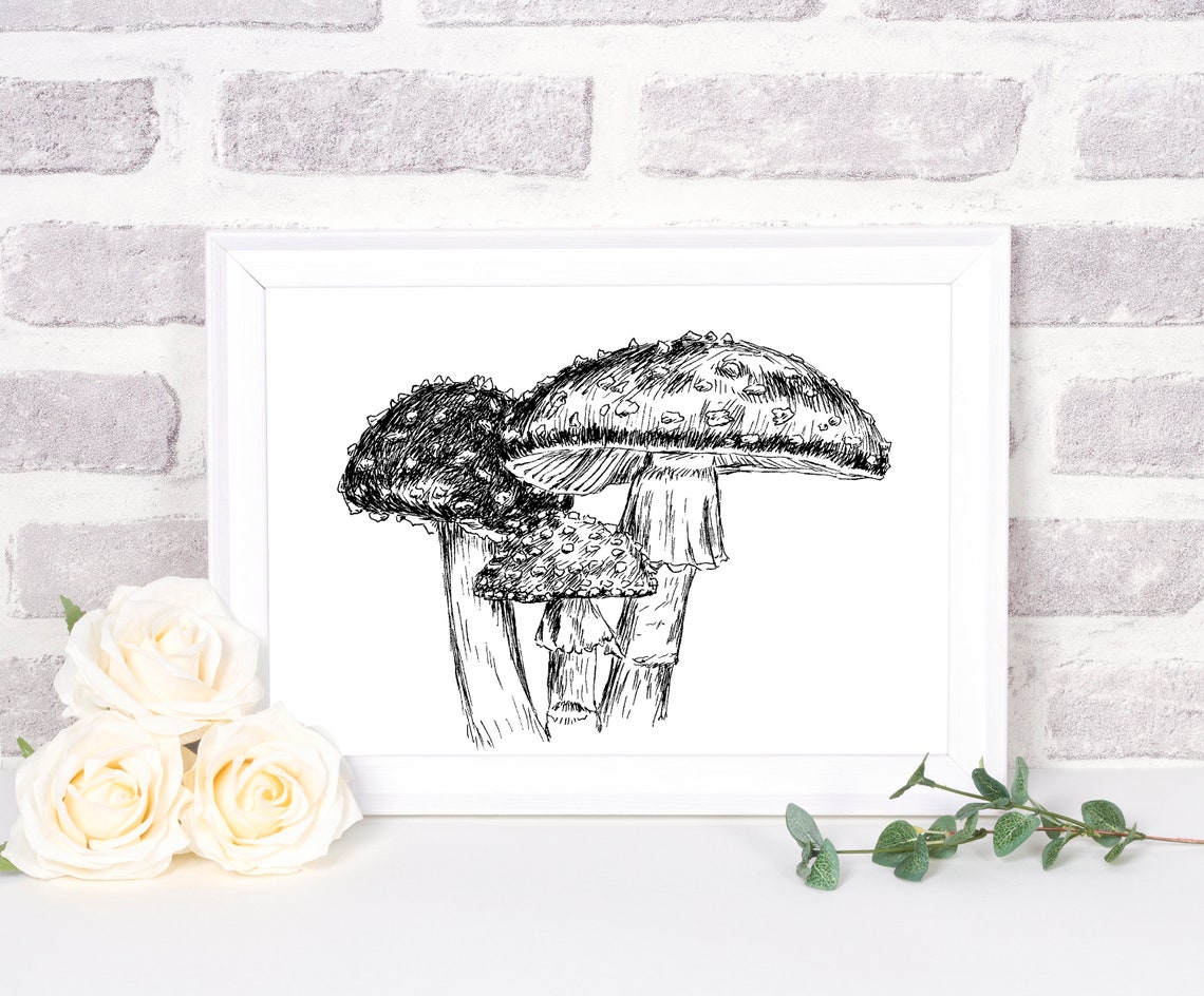 Fly Agaric Mushroom Black And White Botanical Ink Sketch Wall Art