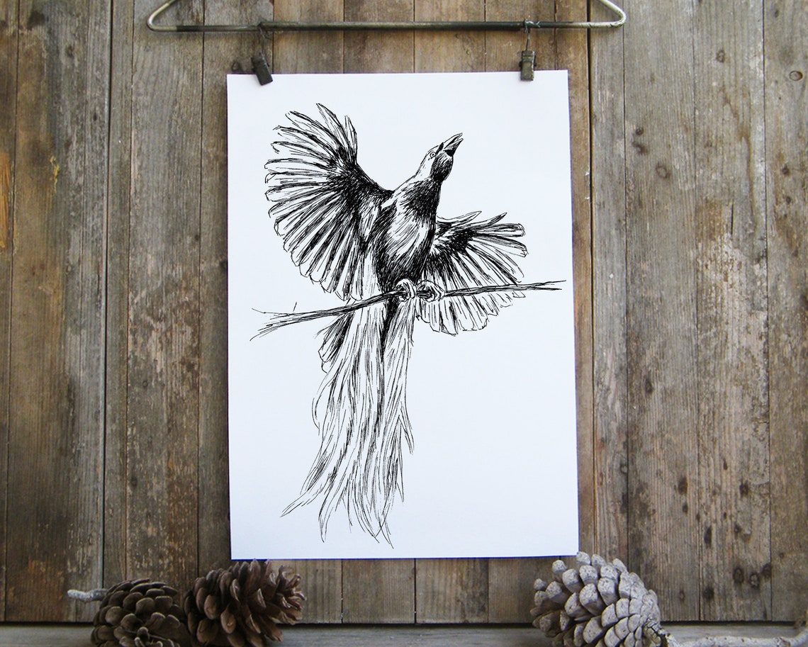 Art Poster Unique Wall Dcor Nursery Prints Animal Prints For Framing Animal Nature Prints Bird Of Paradise - Image 4