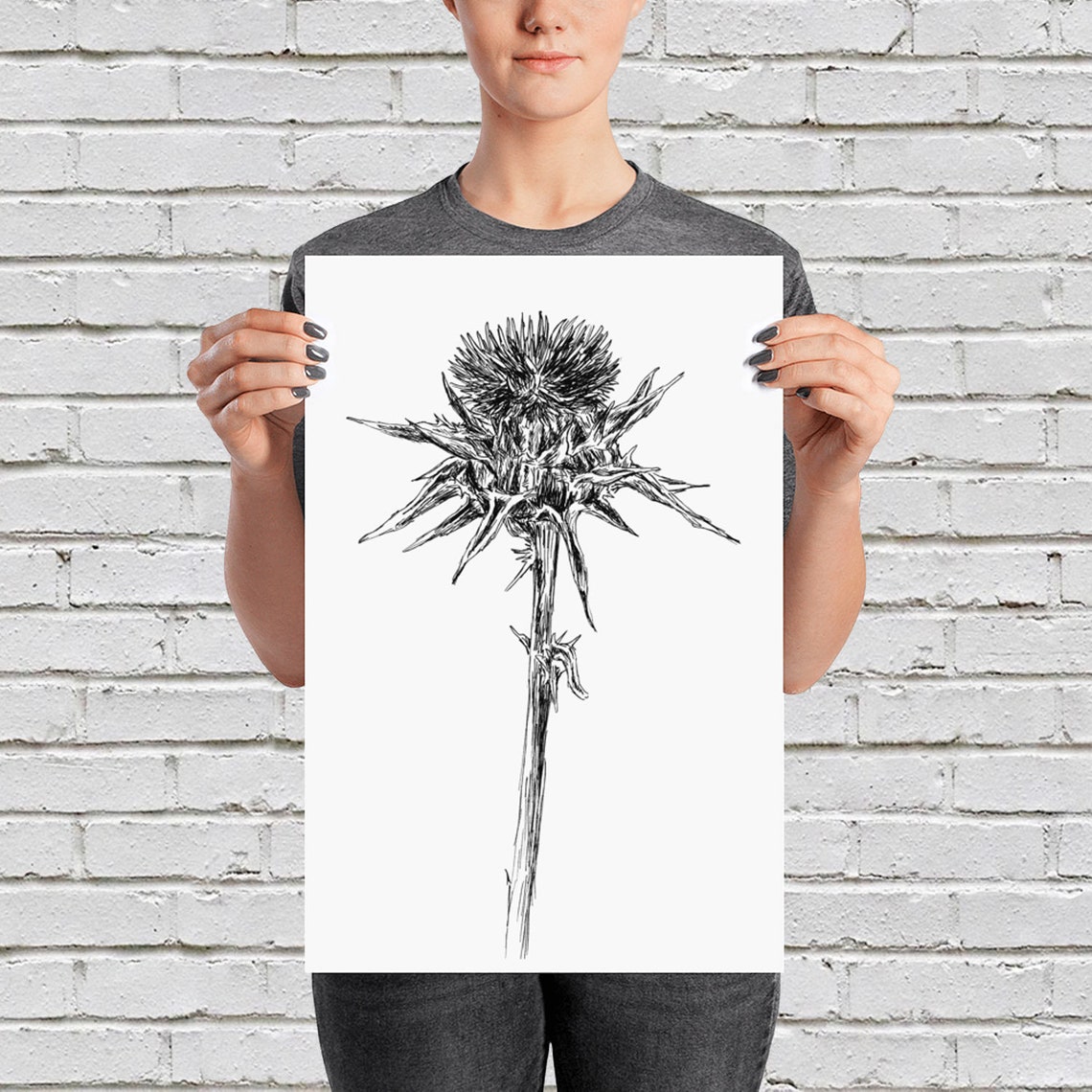 Wild Thistle Head Minimal Black White Botanical Sketch Art Print - Image 2