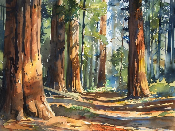 Sequoia National Park Watercolor Art Print, California