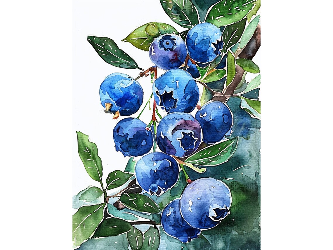 Blueberry Watercolor Botanical Art Print
