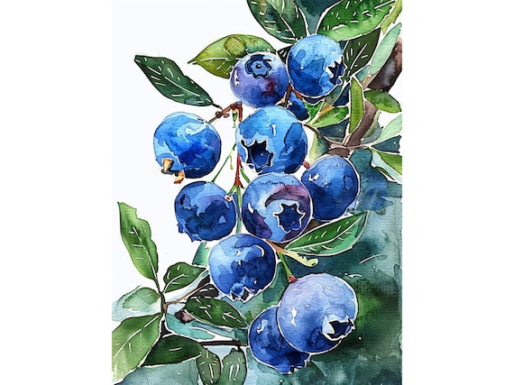 Blueberry Watercolor Botanical Art Print