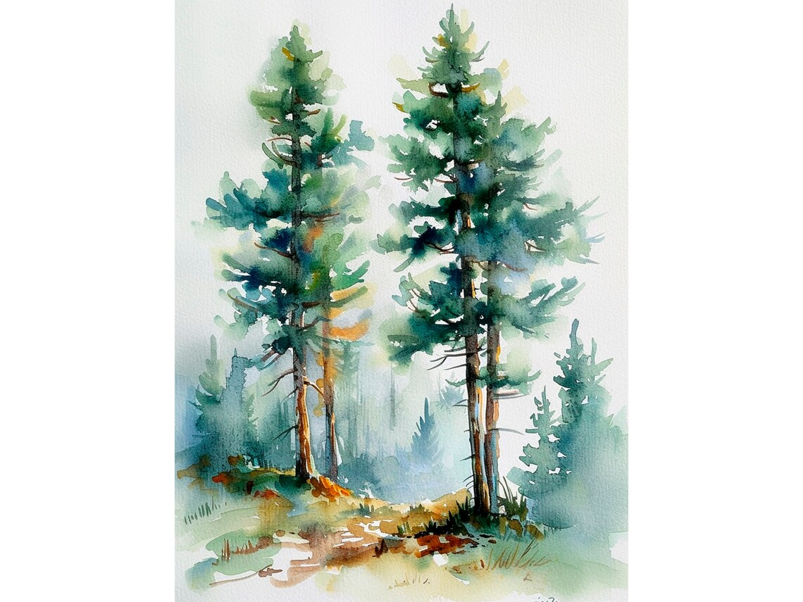 Pine Trees Art Print, Colorado Foggy Forest
