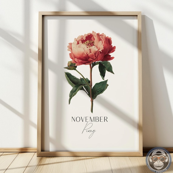 November Birth Flower Art Print Peony Botanical Illustration Poster