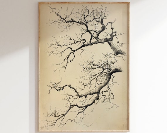 Vintage Branch Sketch Neutral Print Muted Wall Art Rustic Decor Farmhouse Artwork Antique Decoration