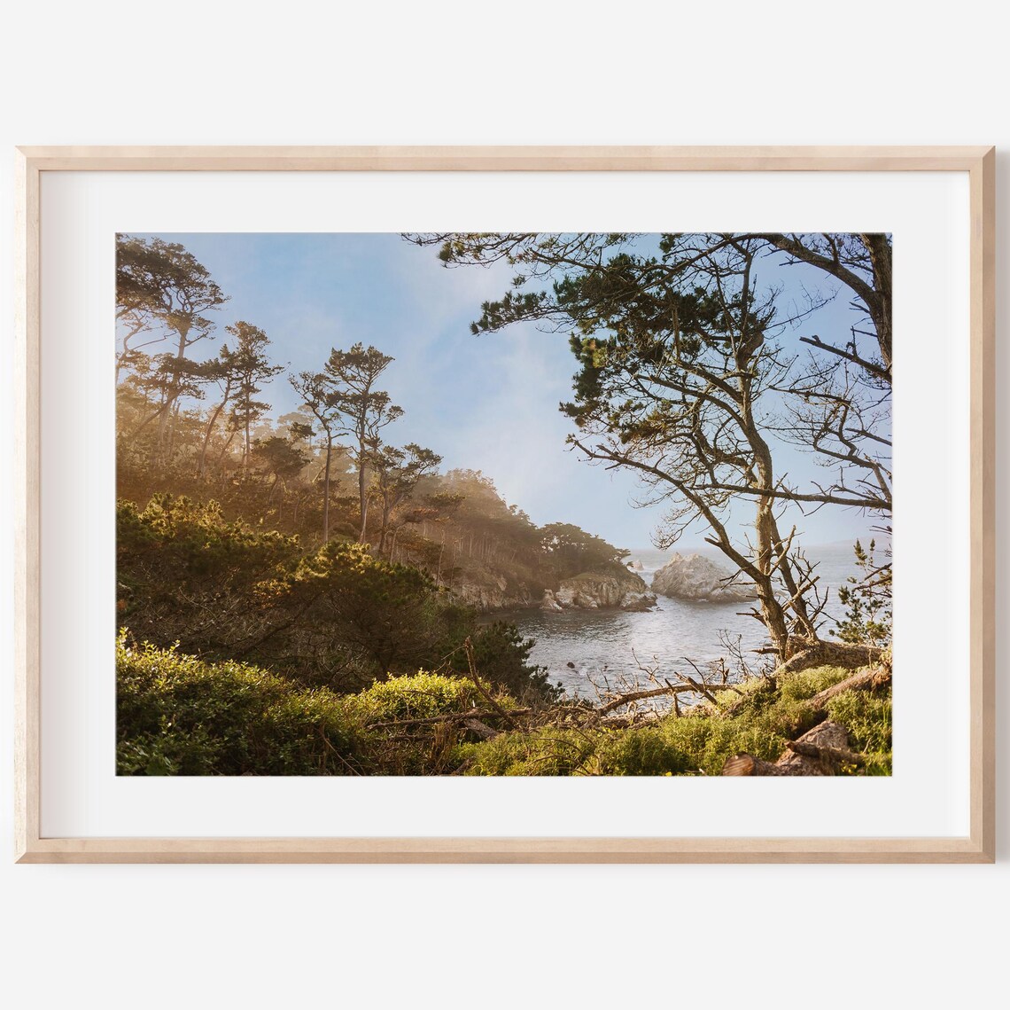 Point Lobos Northern Travel Photography Art Print