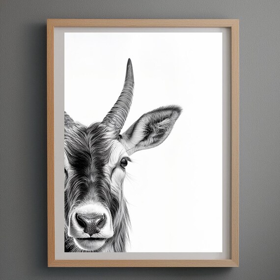 Antelope Black And White Black And White Wildlife Photography Print African Animal Art Antelope Portrait