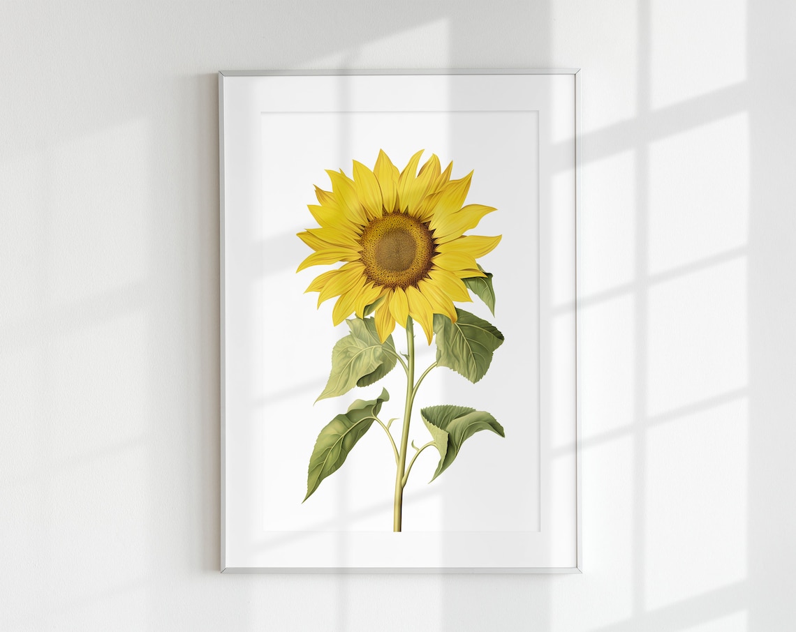 Sunflower Vintage Botanical Wall Art Print