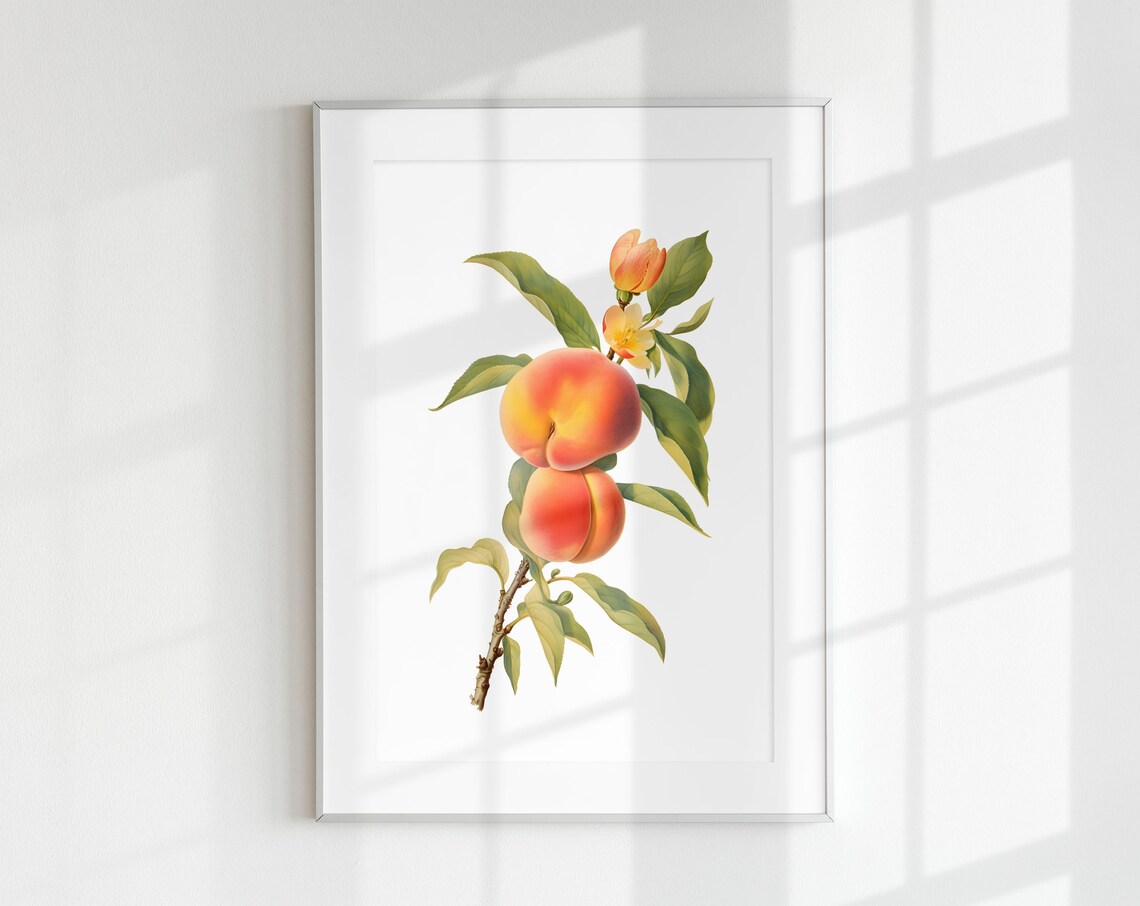 Vintage Peach Branch Botanical Art Print