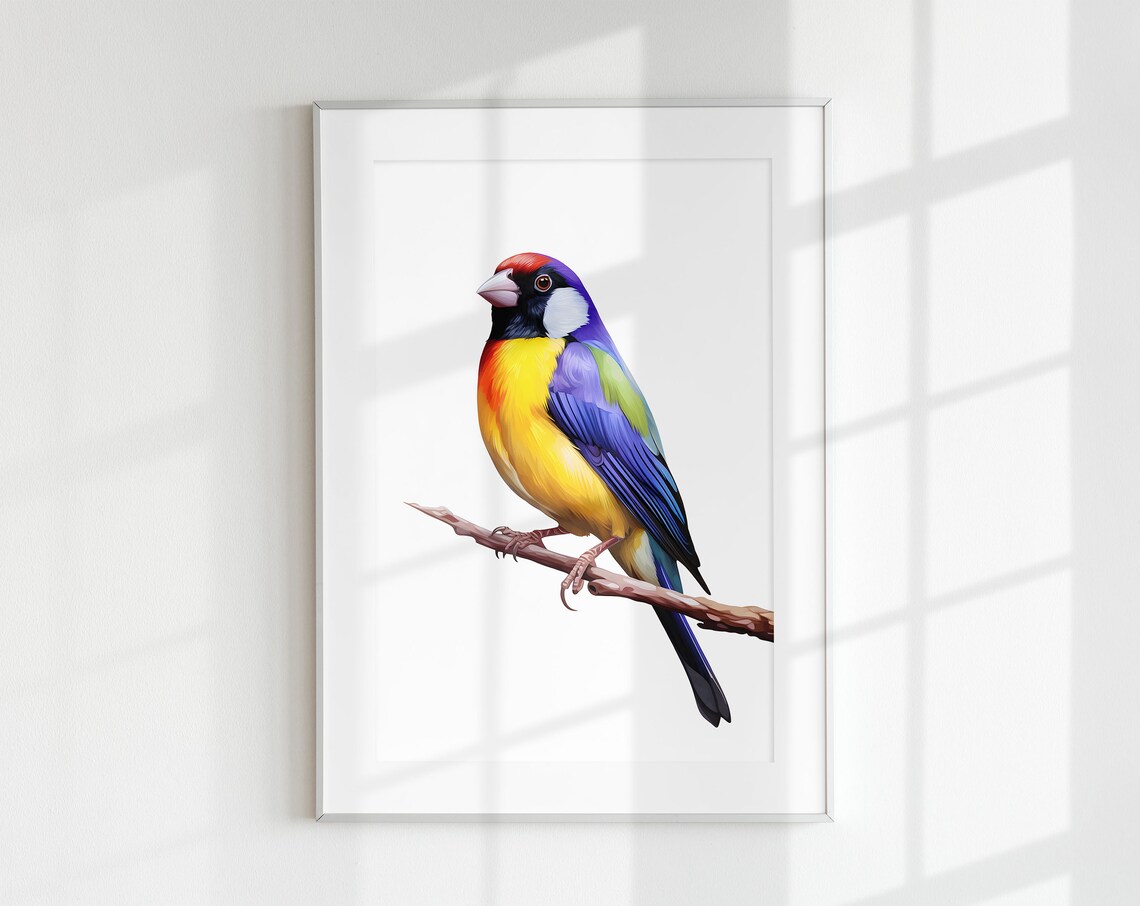 Gouldian Finch Botanical Guide Art Print