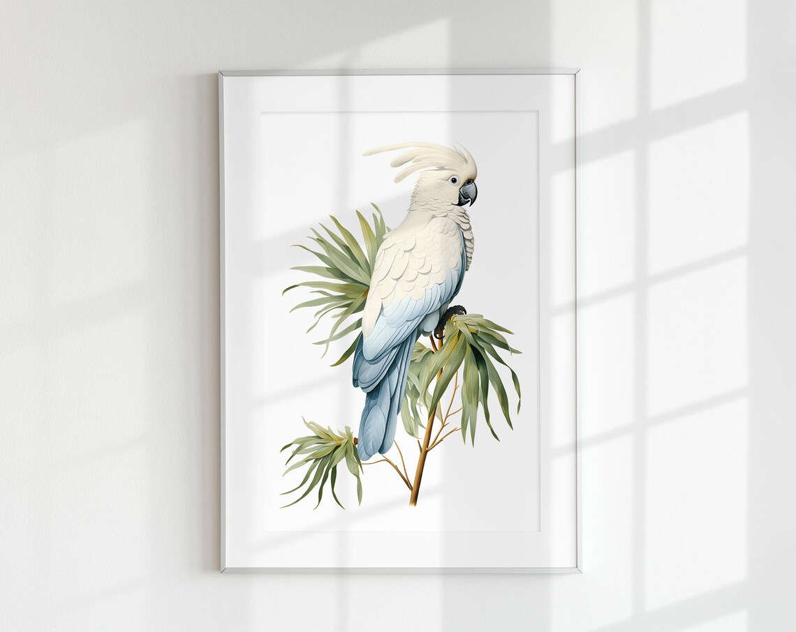 Palm Cockatoo Botanical Guide Bird Art Print