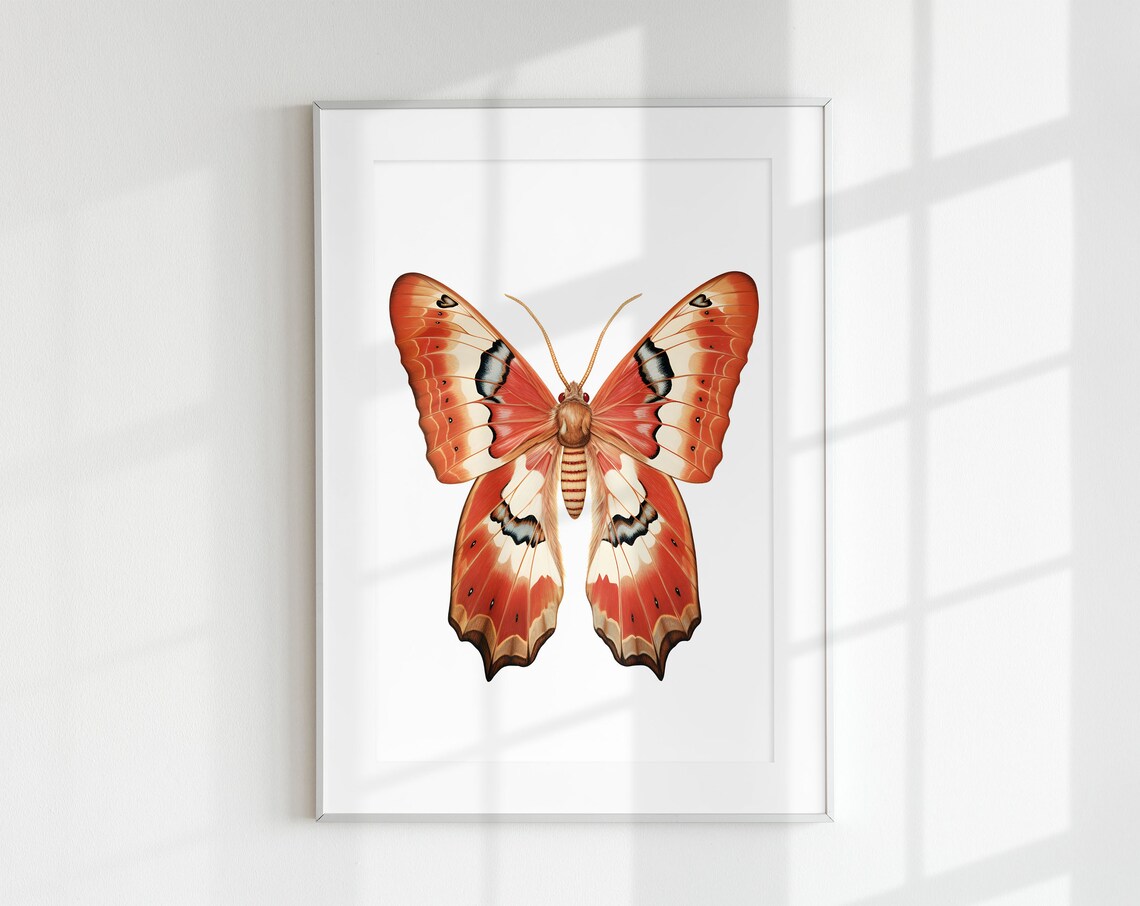 Atlas Moth Poster Print, Botanical Guide