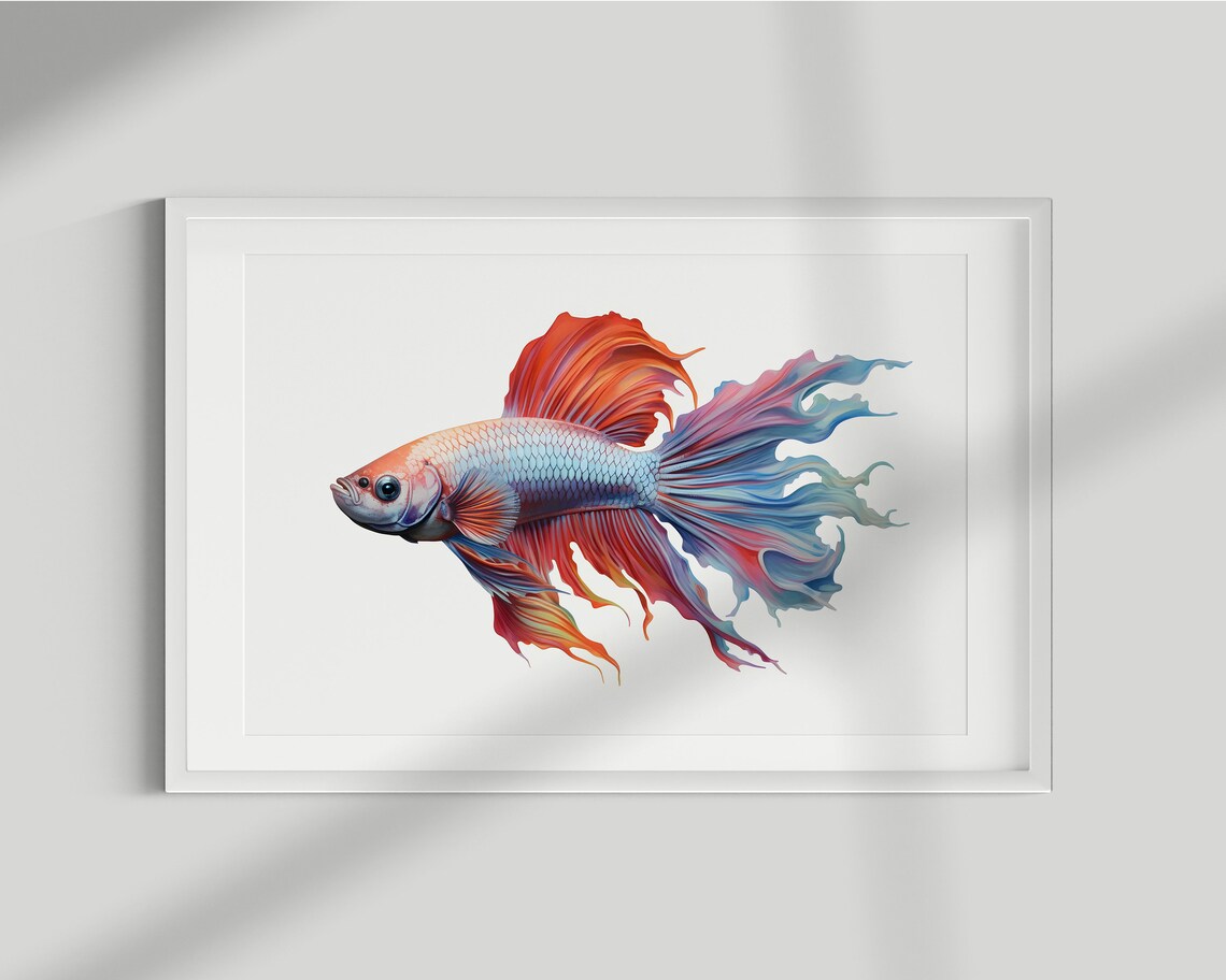 Betta Fish Vintage Illustration Art Print