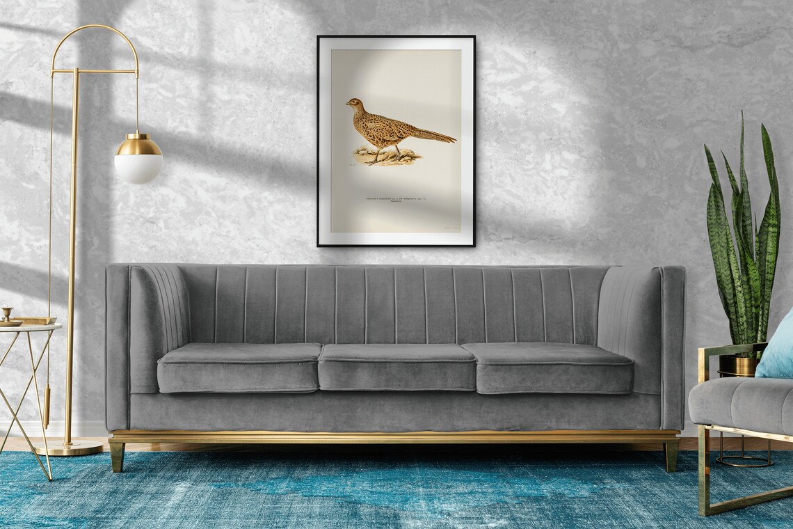 Pheasant Female Bird Vintage Nature Art Print - Image 2